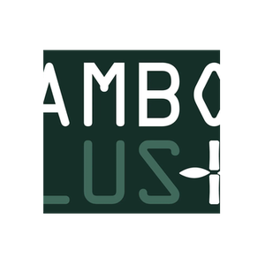 Bamboo Plus brand logo for bambooplus.com.au