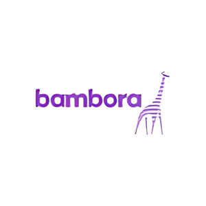 Bambora brand logo for bambora.com