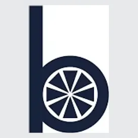 Bandwagon Sports brand logo for bandwagonsports.com