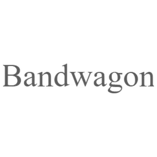 bandwagongroup brand logo for bandwagongroup.com
