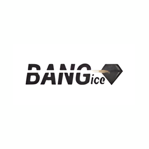 Bang Ice brand logo for bangice.myshopify.com