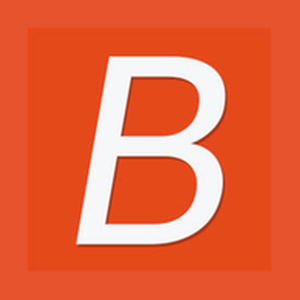 Bannerbuzz brand logo for bannerbuzz.com