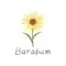 Barabum brand logo for barabumfashion.com