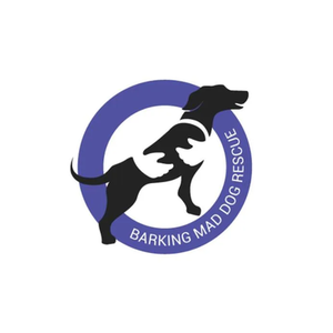 Barking Mad Dog Goodies brand logo for barkingmaddoggoodies.co.uk