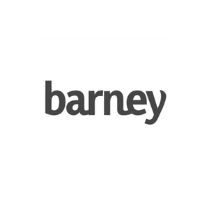 Barney Bed brand logo for barneybed.com