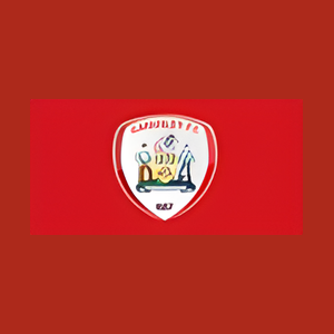 Barnsley FC Direct brand logo for barnsleyfcdirect.co.uk
