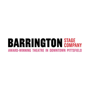 Barrington Stage Company brand logo for barringtonstageco.org