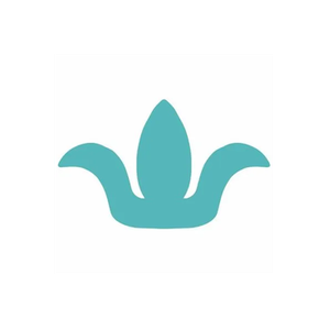 Barse brand logo for barse.com