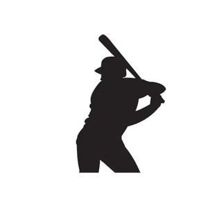 Baseball Batting Cages brand logo for baseballbattingcages.com