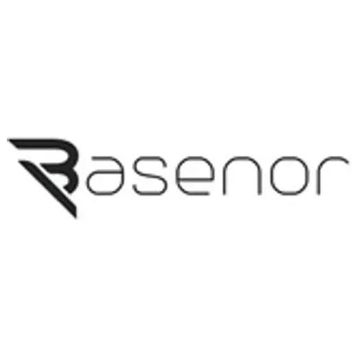 Basenor brand logo for basenor.com