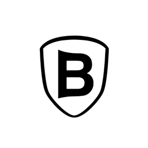 Baseus Online Store brand logo for baseusonlinestore.co.uk