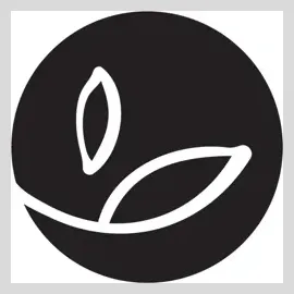 basicearthessentials brand logo for basicearthessentials.com