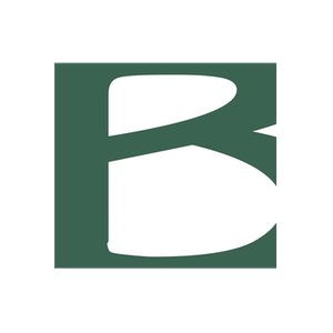 Basinski brand logo for basinski.com