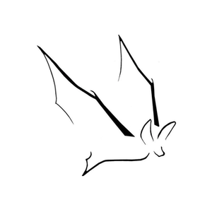 BAT Management brand logo for batmanagement.com