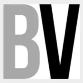 Bath Vault brand logo for bathvault.com