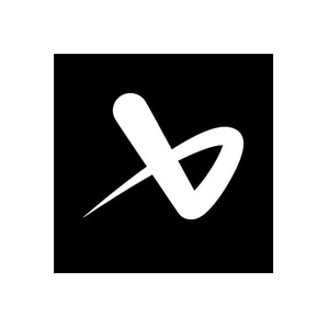 Bauer brand logo for bauer.com