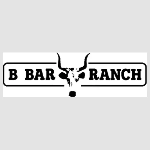 bbar brand logo for bbar.com