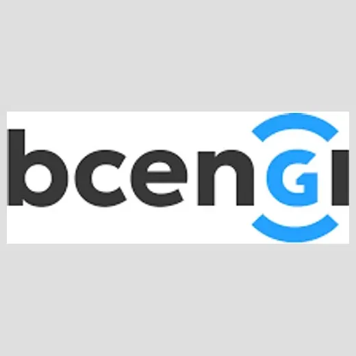 bcengi brand logo for bcengi.com
