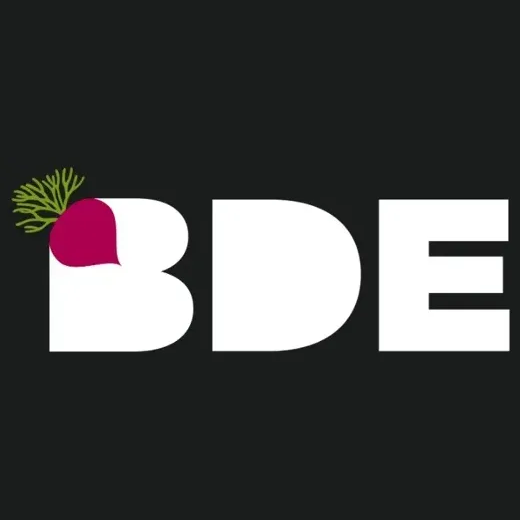 BDE Gummy brand logo for bdegummy.com