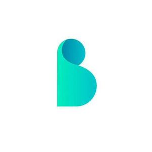 BDRoppy brand logo for bdroppy.com