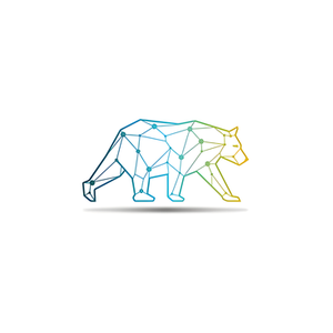 Bear Security Shop brand logo for bearsecurityshop.com