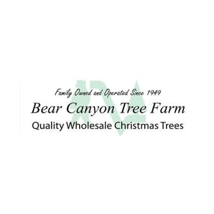 bearcanyontrees brand logo for bearcanyontrees.com