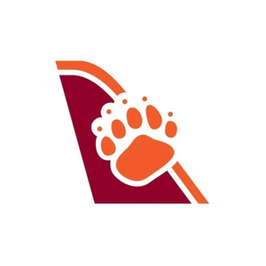 Bearskin Airlines brand logo for bearskinairlines.com