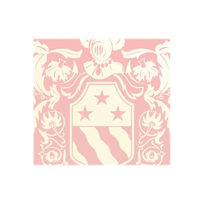 Beauty by Tova brand logo for beautybytova.com