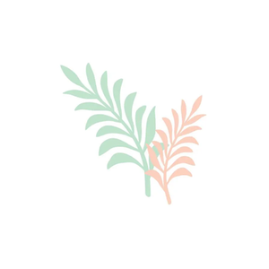 Beauty Fresh brand logo for beautyfresh.com
