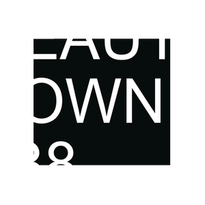 Beauty Town brand logo for beautytown138.com