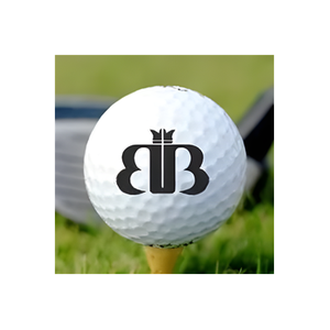 Beaver Brook brand logo for beaverbrookcc.com