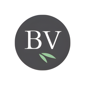 Bed Voyage brand logo for bedvoyage.com