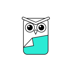 Beddingo brand logo for beddingo.com
