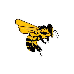 Bee Natural Leathercare brand logo for beenaturalleathercare.com