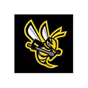 Bee Stinger brand logo for beestinger.com