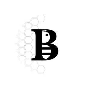 Beemz brand logo for beemzllc.com