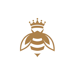 Beenigma brand logo for beenigma.com
