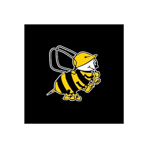 Beesley & Fildes brand logo for beesleyandfildes.co.uk