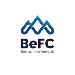 BEFC brand logo for befc.global