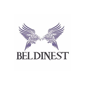 Beldi Nest brand logo for beldinest.com