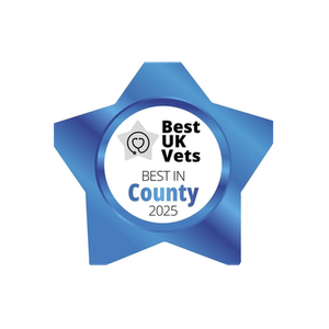 Belfast Vets brand logo for belfastvets.com