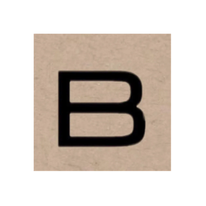 Bella Aesthetics brand logo for bellaaestheticsinc.com