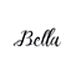 Bella Sienna brand logo for bellasienna.co.uk