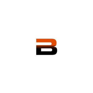Belmint brand logo for belmint.com