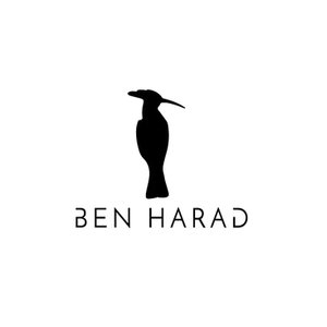 Ben Harad brand logo for benharad.com