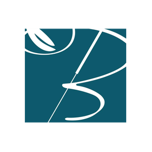 Benessere brand logo for benesseremiami.com