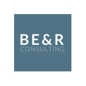 BER Consulting brand logo for berconsulting.com.au