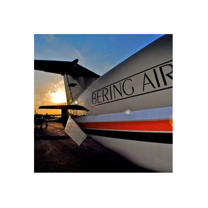 Bering Air brand logo for beringair.com
