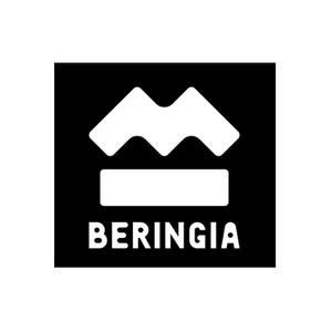 Beringia brand logo for beringia.world