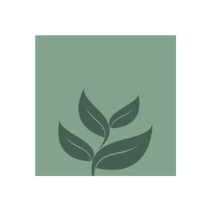 Beso Wellness brand logo for besowellness.com